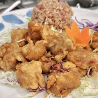fried vegan chicken and rice on a plate