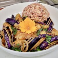 egg plant and rice on a plate