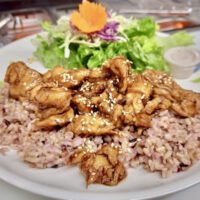 veggie chicken topped on a bed of rice with a small salad on the side on a plate